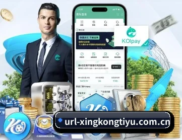 星空体育 APP
